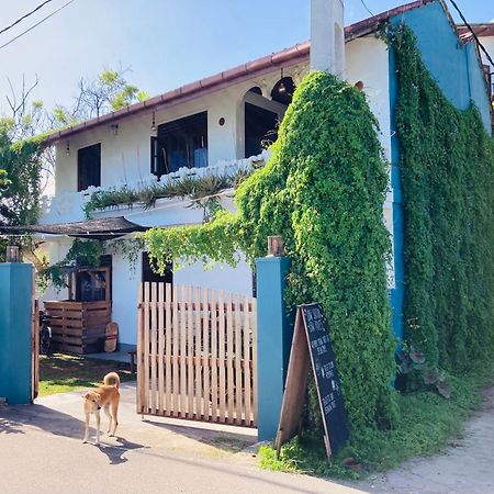 Just Another Guesthouse Polhena Exterior foto