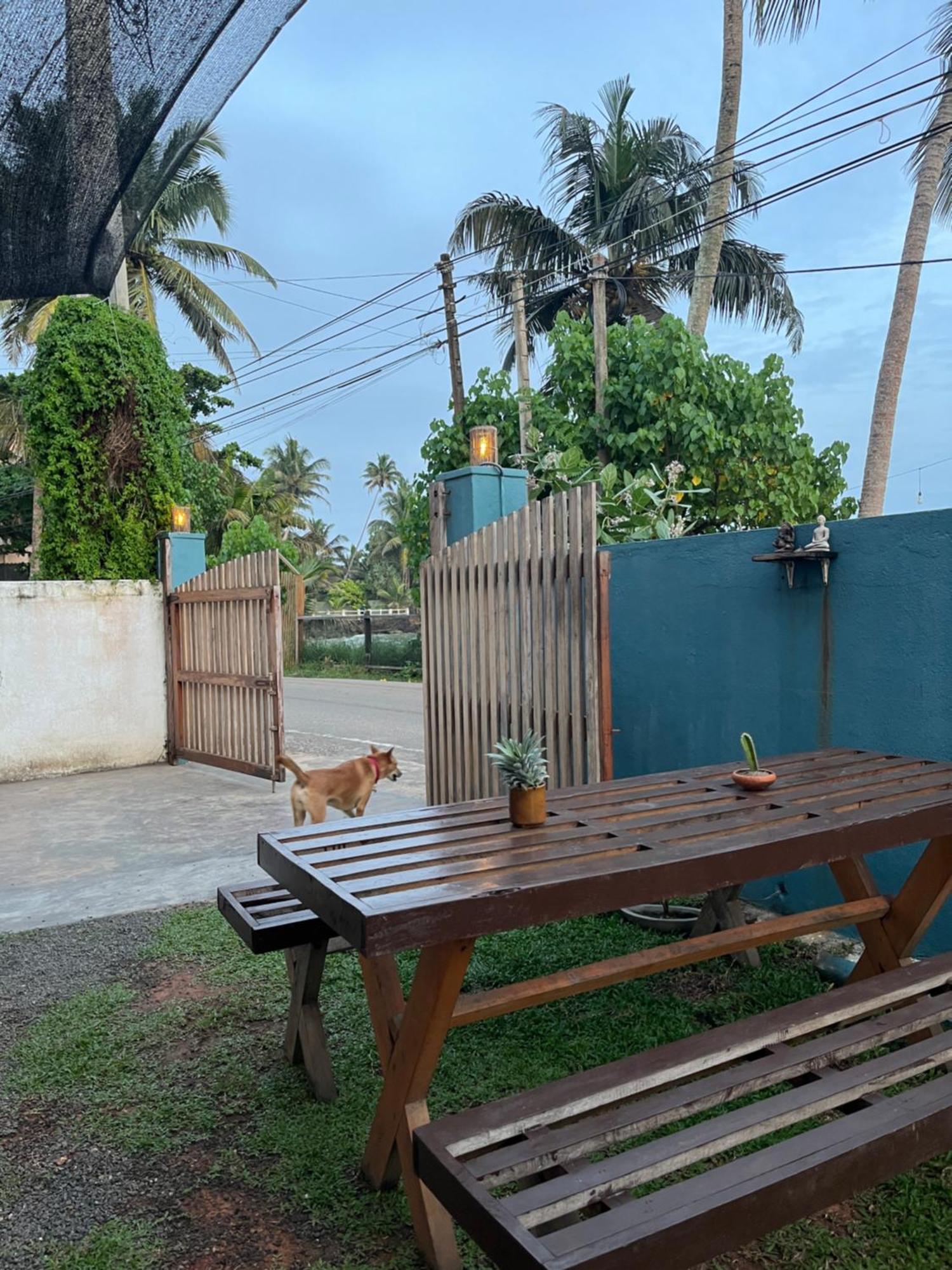 Just Another Guesthouse Polhena Exterior foto